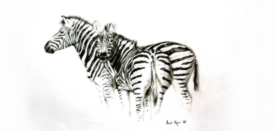 Zebras Ant Fynn